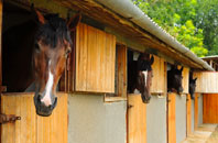 free Palgrave stable construction quotes